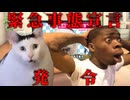 美大卒業するまでの話 コロナ編【猫ミーム】#猫meme #猫マニ #猫ミーム
