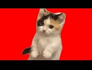 美大卒業するまでの話 一人暮らし編5【猫ミーム】#猫meme #猫マニ #猫ミーム
