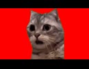 美大卒業するまでの話 絶望編【猫ミーム】#猫meme #猫マニ #猫ミーム