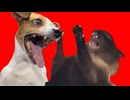 美大卒業するまでの話 絶望編2【猫ミーム】#猫meme #猫マニ #猫ミーム