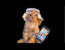 美大卒業するまでの話 絶望編3【猫ミーム】#猫meme #猫マニ #猫ミーム