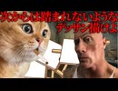 ある美術講師の話【猫ミーム】#猫meme #猫マニ #猫ミーム