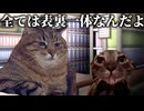 美大卒業するまでの話 卒業制作編2【猫ミーム】#猫meme #猫マニ #猫ミーム