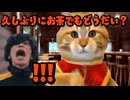 【美大猫ミーム番外編】イギリスの貴公子先輩がお泊まりに来た話 その①#猫ミーム #猫マニ #猫meme