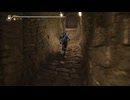 PC破解版《忍者龙剑传II：黑》上忍·超难-第十期 (10)