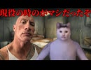美大受験で後悔していること・やってよかったこと#猫ミーム #猫meme #猫マニ