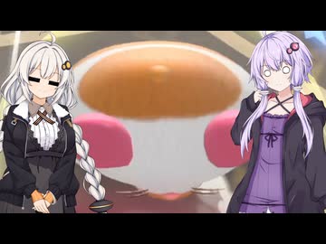 【カービィのエアライダー】ゆづきずエアライダー #35