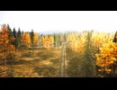 Autumn Forest Railway Journey with Golden Trees