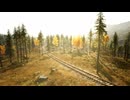 Train Tracks Winding Through a Sunlit Forest with Autumn Foliage in the Morning