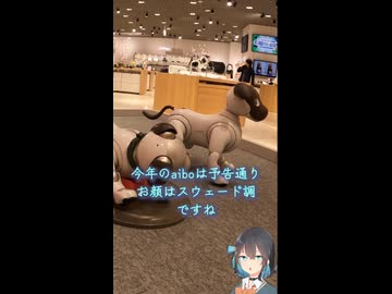 ＃9 コレカラ　新作aiboを見に、のショート動画