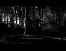 PS4自制系统《使命召唤：二战》剧情战役-老手难度-第一期 (1)