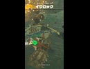 【ティアキン】ミナミノ湾西のイワロック ゼルダの伝説ティアーズオブザキングダム