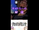 ゆかつむネットミーム解説【何の光!?】