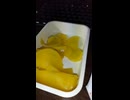 YMDD_30　山田飯：ねり梅日の丸弁当