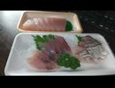 YMDD_34　一号舘：ひらまさとびんちょうまぐろ刺身で晩酌