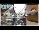 【宮舞散歩】三軒茶屋、心ほどける緑と秘密の路地裏を歩く。