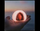 Pink_Moon_Mochi