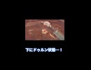 【えっぐい落下集】精神ダメージ、特盛激辛おかわり。