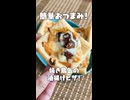 簡単おつまみ！焼き鳥缶の油揚げピザ【VOICEVOXキッチン】