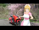 【NM4-02】新弦巻マキと名所探訪 第317話「佐賀県・横竹ダム 御衣黄桜」