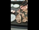 ジンギスカンを焼いていく動画