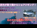 【ショアジギング】逆光の磯で青物を釣る！！　　VOICEROIDフィッシング　ずんだもん＆四国めたん