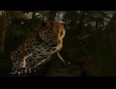 [Green Hell] ジャングル動物園6 [緑色の地獄]