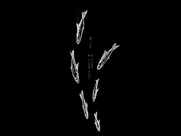 雫、とと / ナースロボ＿タイプT