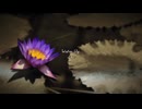 【Alt Metal】Water lily / 睡蓮  【Lyric Video】