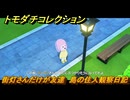 トモダチコレクション　街灯さんだけが友達　島の住人観察日記（ポケモン編）　＃２９５　【トモコレわくわく生活】