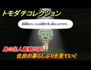 トモダチコレクション　住民の暮らしぶりを見ていく　島の住人観察日記（ポケモン編）　＃３１０　【トモコレわくわく生活】