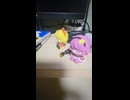 ヘタレインコム、の八割適当にやってます　スマホ日記　5/1