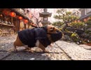 忍者モルモットが城下町を歩く！