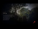 PC破解版《忍者龙剑传II：黑》上忍·超难-第十二期 (1)