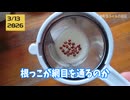 【検証】かいわれ大根の水耕を茶こしでやるぞ