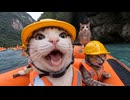 ホモと見る仲間と旅行へ出かけてしまう猫系youtuber