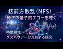 核前方散乱 (NFS)：原子の量子的エコーを聴く — 時間領域メスバウアー分光による探究