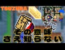 ファイナルファンタジーをあそんでみたらあまりにも何も知らな過ぎた【にわかFF＃２コーネリアじょう - かいぞく】