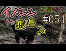 狩猟勢子動画＃054　イノシシの悲鳴？