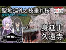 ゆかりと千冬の路上航行記～桜の名所とゆるキャン△聖地”身延山久遠寺”～ 【御朱印祭2026/HONDA CIVIC RS FL1】