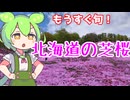 【芝桜】5月半ばから始まる花見のすすめ【旅行動画】