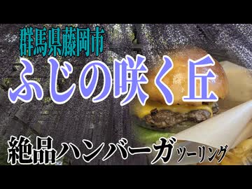 【ななまる日記】群馬藤岡の藤の咲く丘と絶品ハンバーガー、いちごシェイクもあるよ。