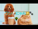 【音街ウナ＆歌愛ユキ＆初音ミク＆GUMI＆flower】ワンにゃん