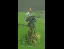 【ティアキン】ラネール台地のライネル ゼルダの伝説ティアーズオブザキングダム