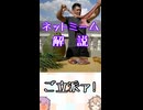 ゆかつむネットミーム解説【ご立派ァ!】