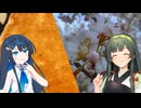 桜を見る。はんぺんを食べる。