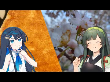 桜を見る。はんぺんを食べる。