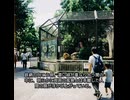 【戦慄】過去最強に恐い心霊写真4選。動物園の檻に潜む巨大な顔と、窓に映る女の怨念。