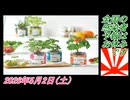 1-1 全国の感染者予報はお休みです。菜々子の独り言2026年5月2日(土)