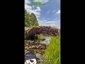 【お写んぽ！！】びわ湖大津館イングリッシュガーデン！
